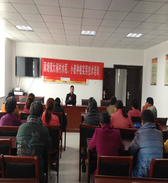 水稻、小麦,家政 044_副本.jpg